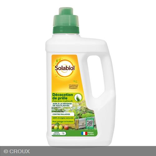 DECOCTION de prêle décoction de prêle