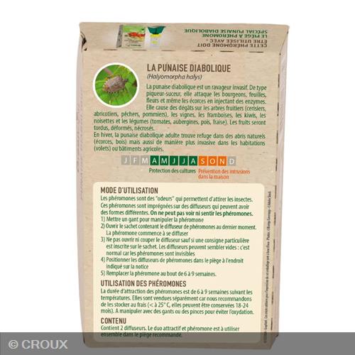 PIEGE à phéromone Contre la punaise diabolique piège à phéromone Contre la punaise diabolique