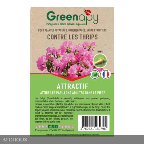 PHEROMONE contre le Thrips californien – Frankliniella occidentalis phéromone Contre le thrips californien