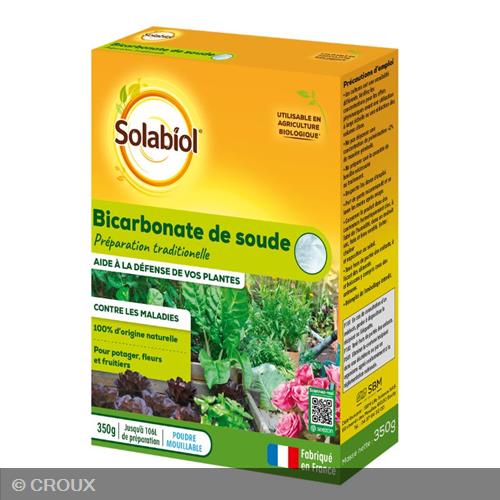 BICARBONATE de soude bicarbonate de soude