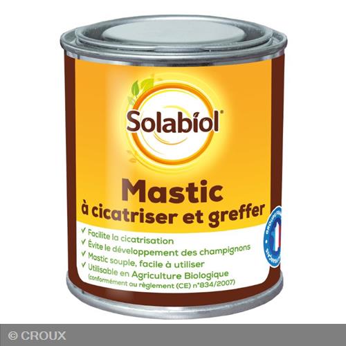 MASTIC à cicatriser et à greffer mastic à cicatriser et à greffer