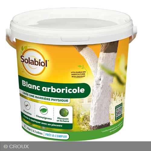 BLANC arboricole blanc arboricole