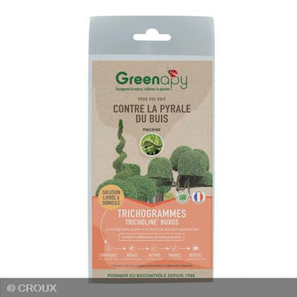 POCHETTE prépayée Trichotop buxus contre la pyrale du buis trichotop buxus Contre la pyrale du buis