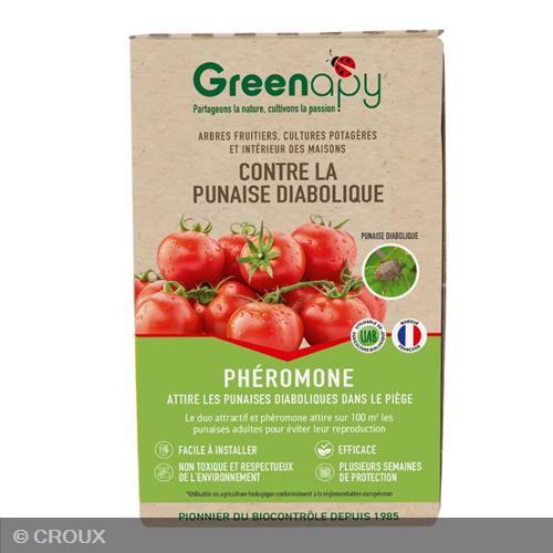 PIEGE à phéromone Contre la punaise diabolique piège à phéromone Contre la punaise diabolique