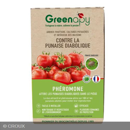 PIEGE à phéromone Contre la punaise diabolique piège à phéromone Contre la punaise diabolique
