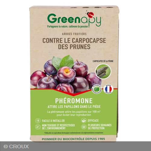 PHEROMONE contre le carpocapse des prunes – Cydia funebrana phéromone Contre le carpocapse des prunes