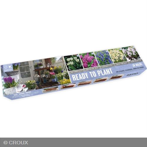 KIT PRÊT A PLANTER BALCON 'Galaxy' Mix Balcon galaxy mix