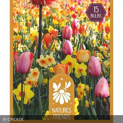MIX DE BULBES AMIS DE LA NATURE 'Nuances de pastel" Nuances de pastel