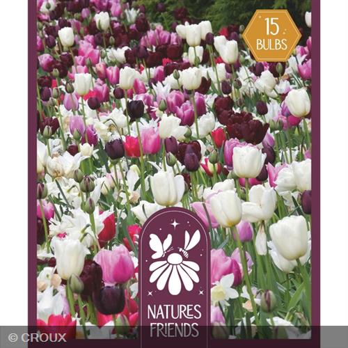 MIX DE BULBES AMIS DE LA NATURE 'Nuances de rose' Nuances de rose