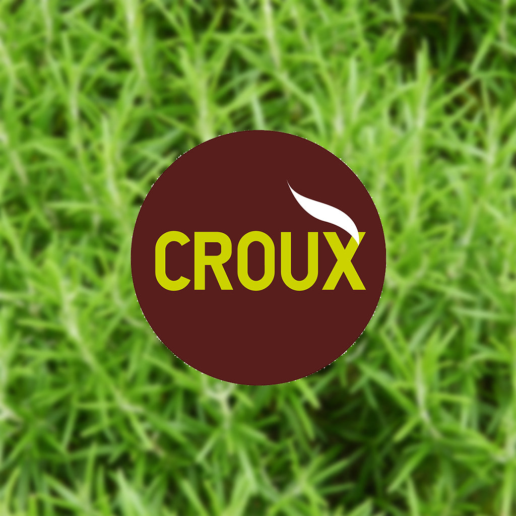 Image produit par défaut